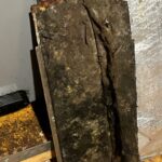 542EF64A-DEC2-47EC-90D3-28362618C6E9 (1)